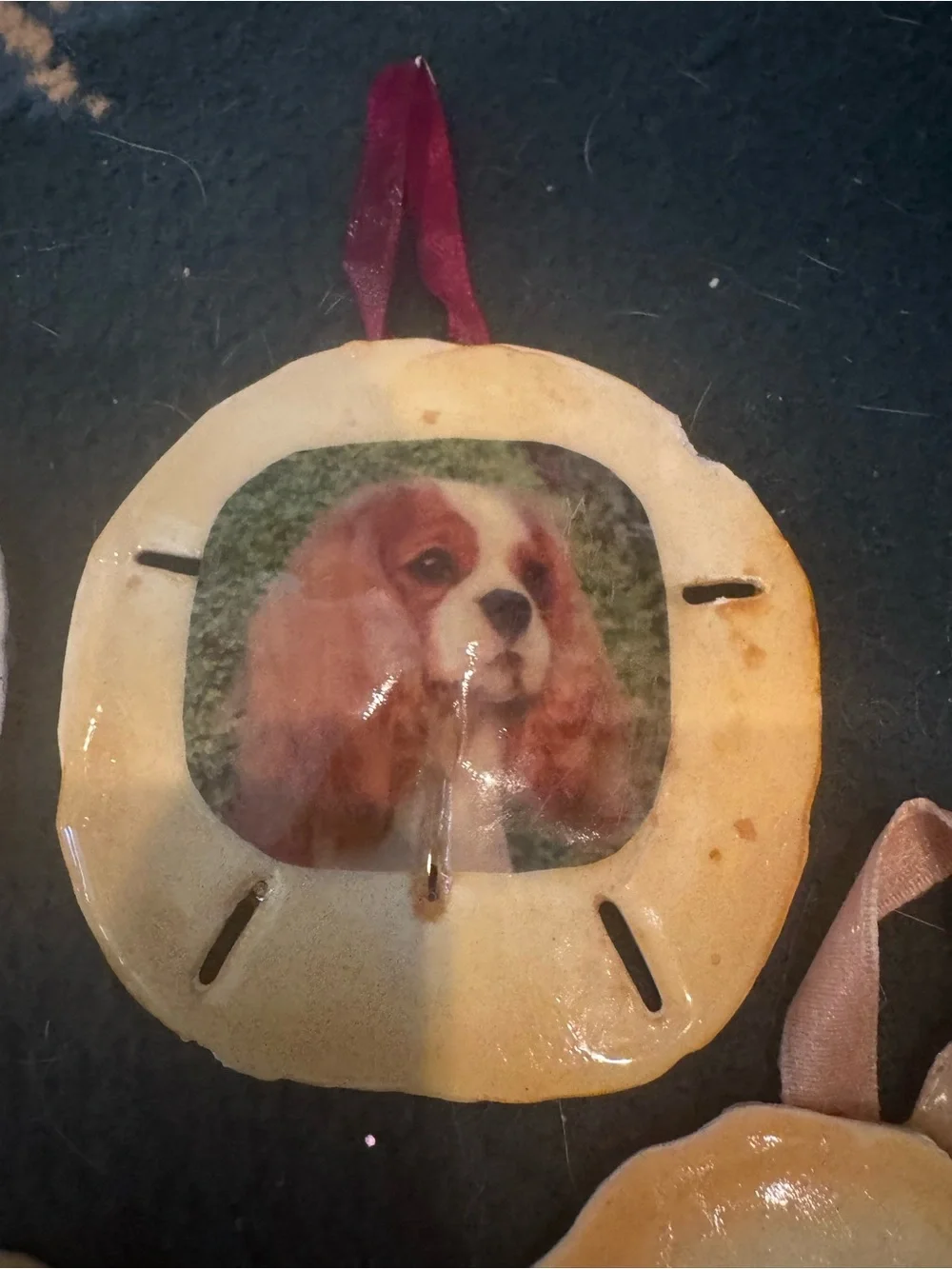 Handcrafted Small Pet real Sand Dollar Ornaments with Dog Artwork - Tan